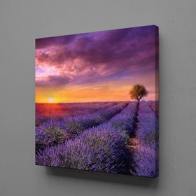 Technopa Sümbül Tarlası 70x70 cm Kanvas Tablo