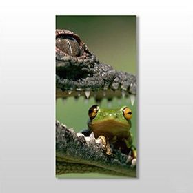 Technopa Timsah ve Kurbağa 100x150 cm Kanvas Tablo