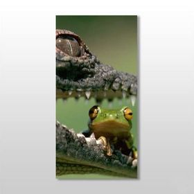 Technopa Timsah ve Kurbağa 140x210 cm Kanvas Tablo