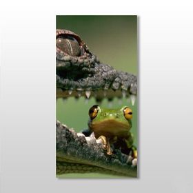 Technopa Timsah ve Kurbağa 20x30 cm Kanvas Tablo