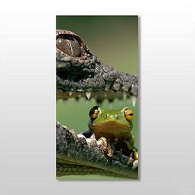 Technopa Timsah ve Kurbağa 20x30 cm Kanvas Tablo