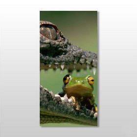 Technopa Timsah ve Kurbağa 40x60 cm Kanvas Tablo