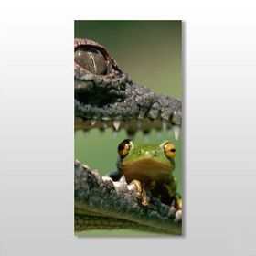 Technopa Timsah ve Kurbağa 50x75 cm Kanvas Tablo