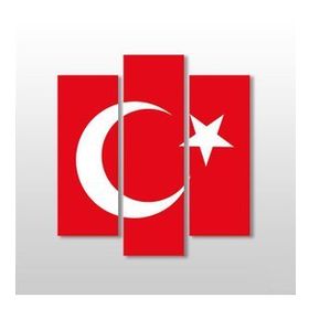 Technopa Türk Bayrak 120x130 cm Kanvas Tablo