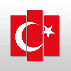 Technopa Türk Bayrak 156x170 cm Kanvas Tablo