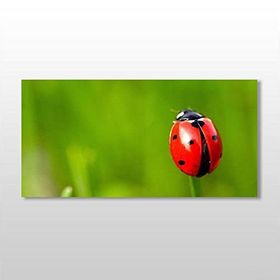 Technopa Uğur Böceği 120x60 cm Kanvas Tablo