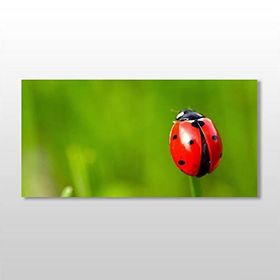 Technopa Uğur Böceği 140x70 cm Kanvas Tablo