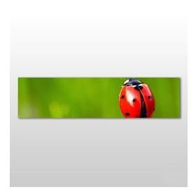 Technopa Uğur Böceği 150x50 cm Kanvas Tablo