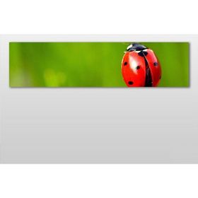 Technopa Uğur Böceği 240x80 cm Kanvas Tablo