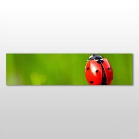 Technopa Uğur Böceği 270x90 cm Kanvas Tablo