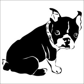 Technopa Yavru Köpek 70 cm Folyo Duvar Stickerı