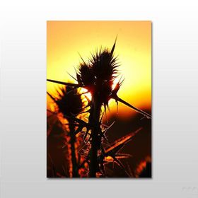 Technopa Yelkenli 140x70 cm Kanvas Tablo