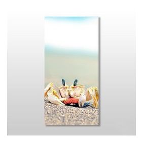 Technopa Yengeç 30x50 cm Kanvas Tablo