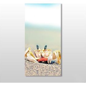Technopa Yengeç 40x60 cm Kanvas Tablo