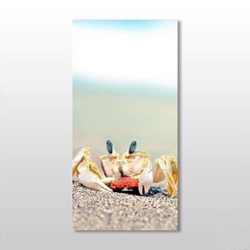Technopa Yengeç 70x105 cm Kanvas Tablo