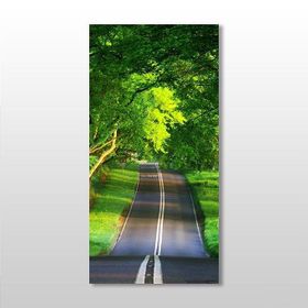 Technopa Yeşil Yol 20x30 cm Kanvas Tablo
