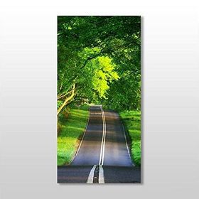 Technopa Yeşil Yol 20x30 cm Kanvas Tablo