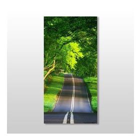 Technopa Yeşil Yol 80x120 cm Kanvas Tablo