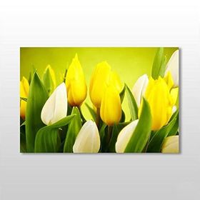 Technopa Zambak 45x30 cm Kanvas Tablo