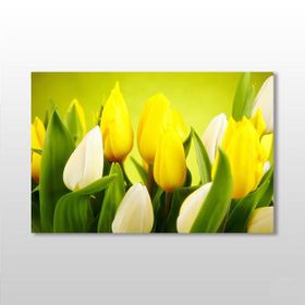 Technopa Zambak 45x30 cm Kanvas Tablo
