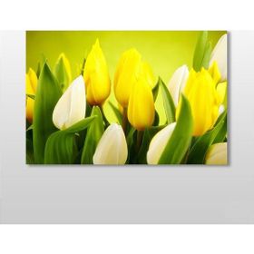 Technopa Zambak 60x40 cm Kanvas Tablo