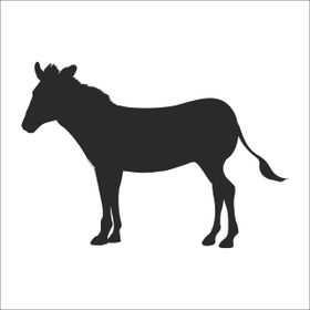 Technopa Zebra 100 cm Folyo Duvar Stickerı