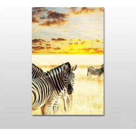 Technopa Zebra 100x50 cm Kanvas Tablo