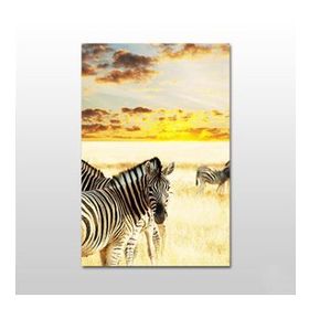 Technopa Zebra 100x50 cm Kanvas Tablo