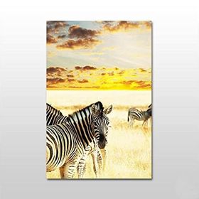 Technopa Zebra 100x50 cm Kanvas Tablo