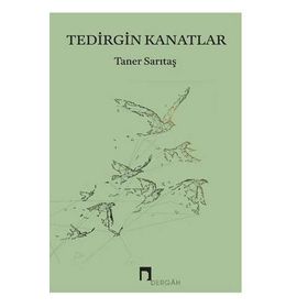 Tedirgin Kanatlar - Taner Sarıtaş