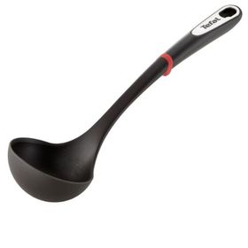 Tefal Ingenio Kepçe