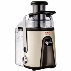 Tefal ZE585 Easy Fruit 700 W 1250 ml Hacimli Katı Meyve Sıkacağı Gümüş