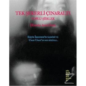 TEK ŞEKERLI ÇINARALTI - HÜSEYIN AVNI DEDE