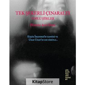 TEK ŞEKERLI ÇINARALTI - HÜSEYIN AVNI DEDE