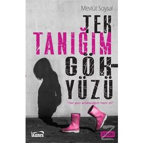Tek Tanığım Gökyüzü - Mevlüt Soysal