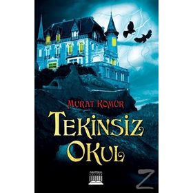 Tekinsiz Okul - Murat Kömür
