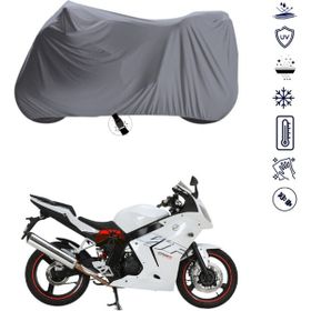 Teksin Daelim Roadwin 250 Motosiklet Brandası