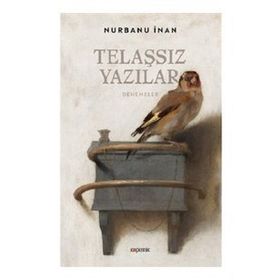 Telaşsız Yazılar - Nurbanu İnan