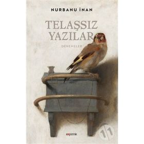 Telaşsız Yazılar - Nurbanu İnan