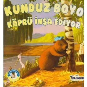 Teleskop Kunduz Boyo Köprü İnşa Ediyor Ormandan Hikayeler