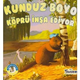 Teleskop Kunduz Boyo Köprü İnşa Ediyor Ormandan Hikayeler
