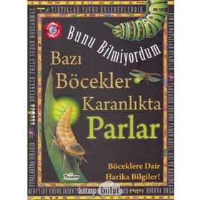 Teleskop Popüler Bilim - Bazı Böcekler Karanlıkta Parlar - Bunu Bilmiyordum - Böceklere Dair Harika Bilgiler!