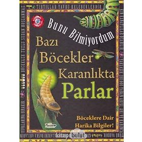 Teleskop Popüler Bilim - Bazı Böcekler Karanlıkta Parlar - Bunu Bilmiyordum - Böceklere Dair Harika Bilgiler!