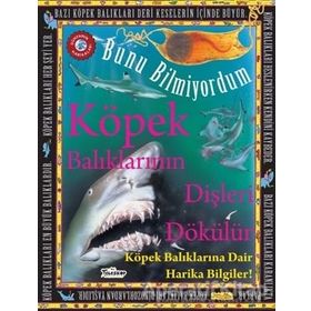 Teleskop Popüler Bilim - Köpek Balıklarının Dişleri Dökülür - Bunu Bilmiyordum - Köpek Balıklarına Dair Harika Bilgiler!