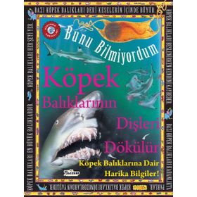 Teleskop Popüler Bilim - Köpek Balıklarının Dişleri Dökülür - Bunu Bilmiyordum - Köpek Balıklarına Dair Harika Bilgiler!