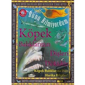 Teleskop Popüler Bilim - Köpek Balıklarının Dişleri Dökülür - Bunu Bilmiyordum - Köpek Balıklarına Dair Harika Bilgiler!