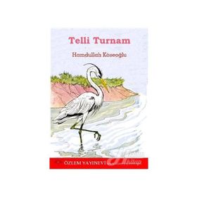 Telli Turnam - Hamdullah Köseoğlu