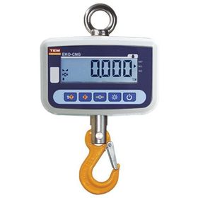 Tem Eko+ Lcd 1000 kg Onaylı Vinç Baskülü