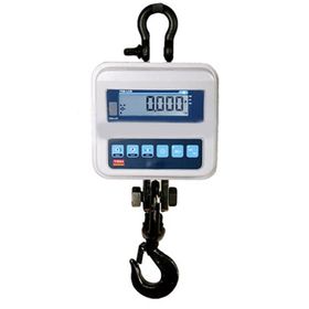 Tem TEB 500 kg - 200 gr Vinç Baskülü
