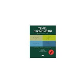 Temel Ekonometri Ekonomik Baskı Damodar Gujarati Literatür Yayıncılık - Akademik Kitaplar